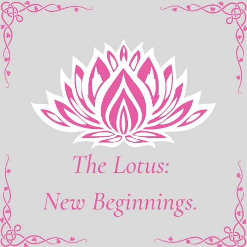 The Lotus: New Beginnings