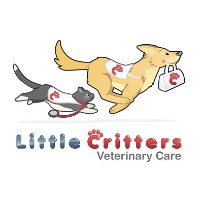 Little Critters Veterinary Care